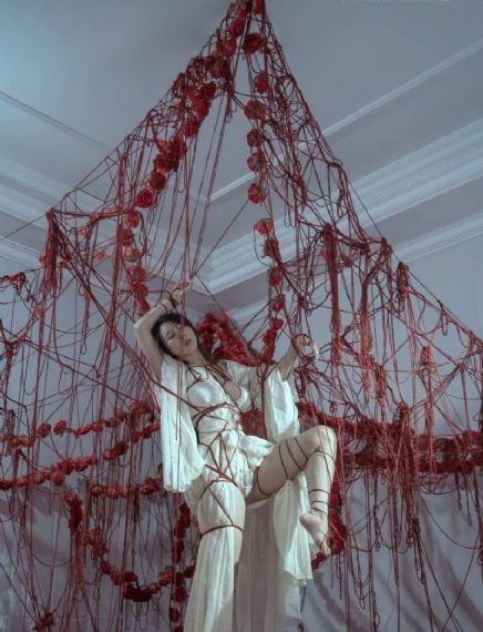 七仙女欲春艳谭_BT磁力天堂在线观看高清