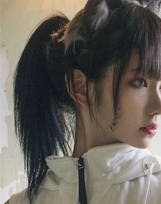 森林里的熊先生完整版在线观看_4K神马影院在线