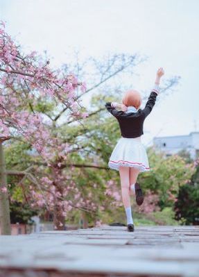 偷偷藏不住电视剧在线观看完整版_DVD免费高清观看