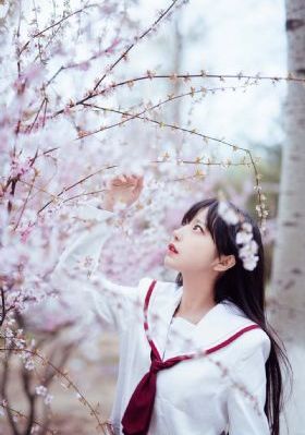 妖精的尾巴百年任务_HD神马影院手机在线